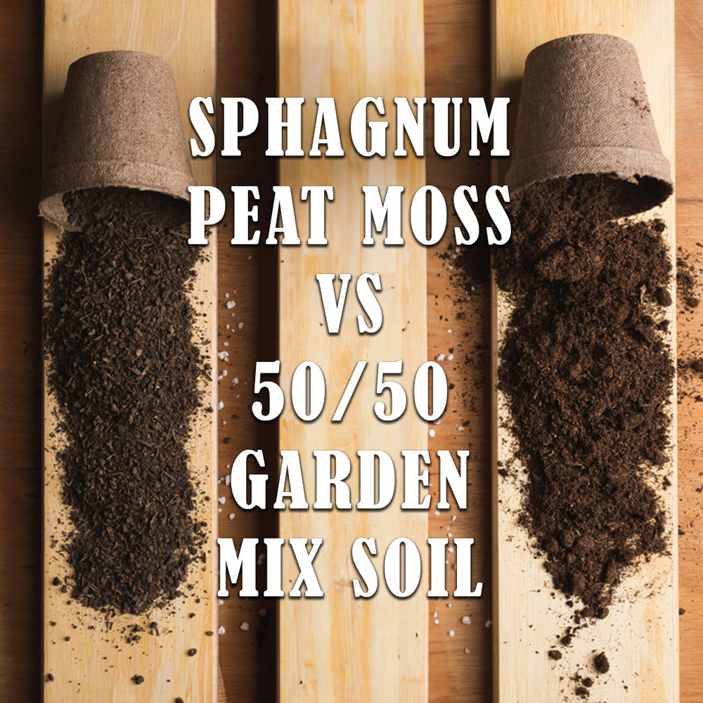 Difference Of Sphagnum Peat Moss And 50