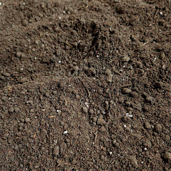 Garden Mix Soil For Sale