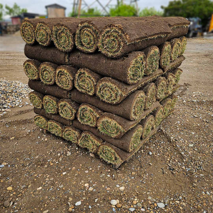 Kentucky Bluegrass Sod Roll 10 sq. ft. – Fresh Turf Grass for Calgary Lawns