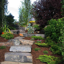 6”-9” Rundle Steps